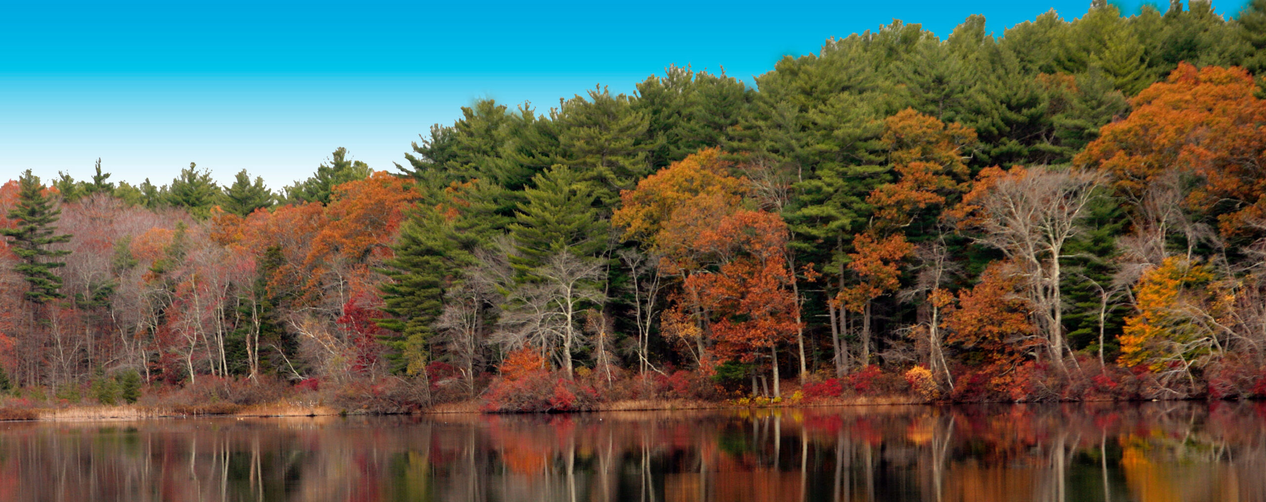 HopkintonStatePark