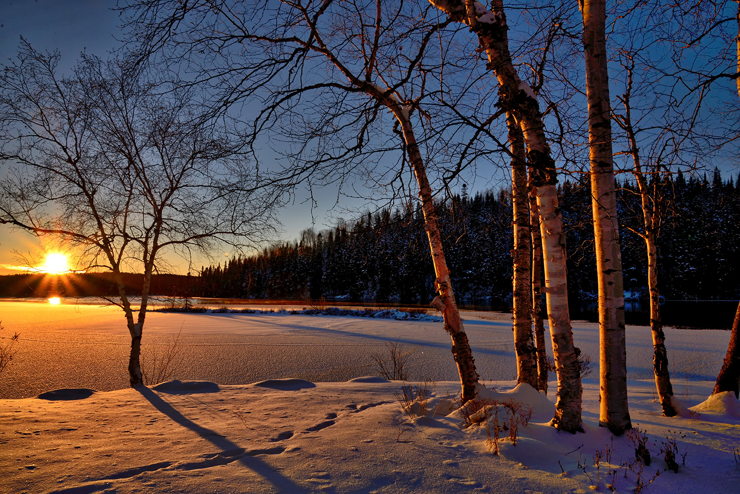 winter scene small