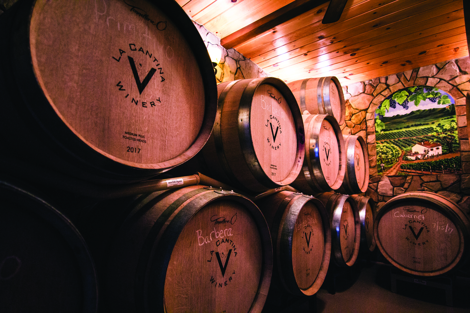 La Cantina winery barrels