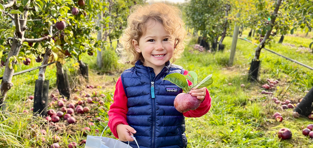 Pepper Picking Apples LookoutFarm 2023