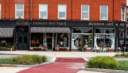 Hudson in Metrowest Summer, Marnely Murray edit