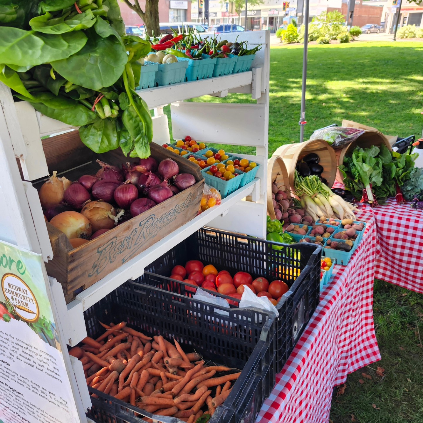 Medway Community Farm