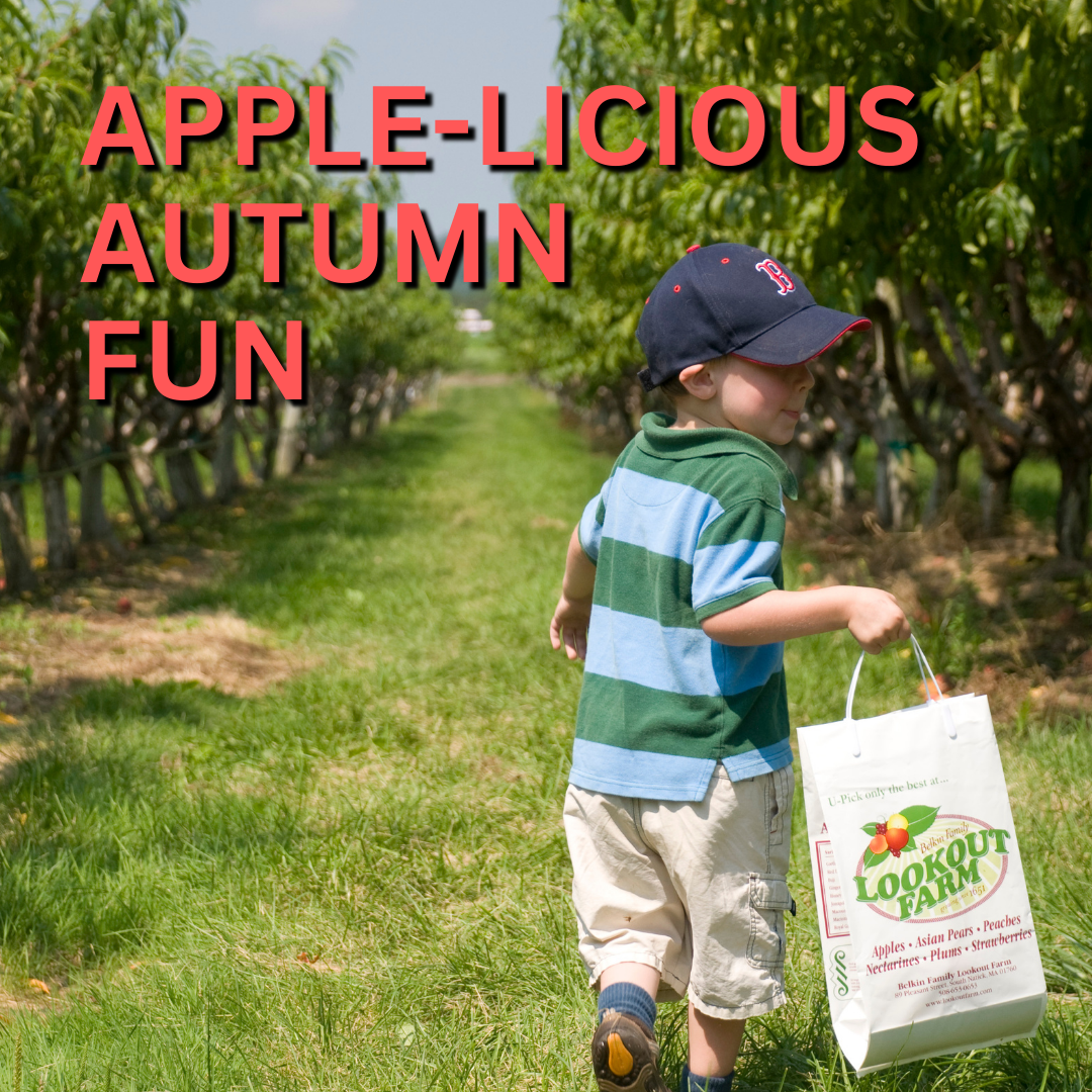 APPLE LICIOUS AUTUMN FUN