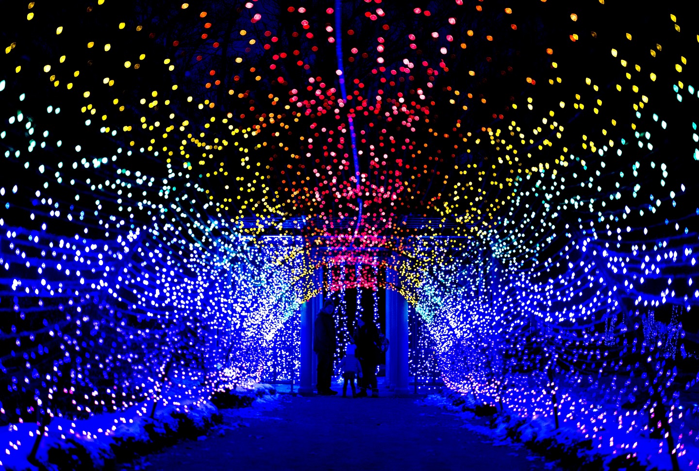 New England Botanic Garden NIght Lights