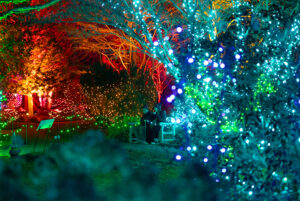 Night Lights web