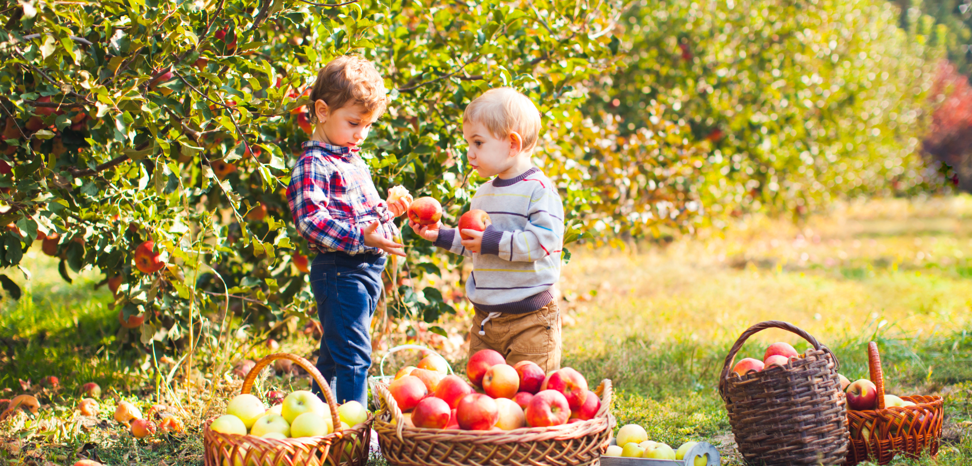 Children in an orchard