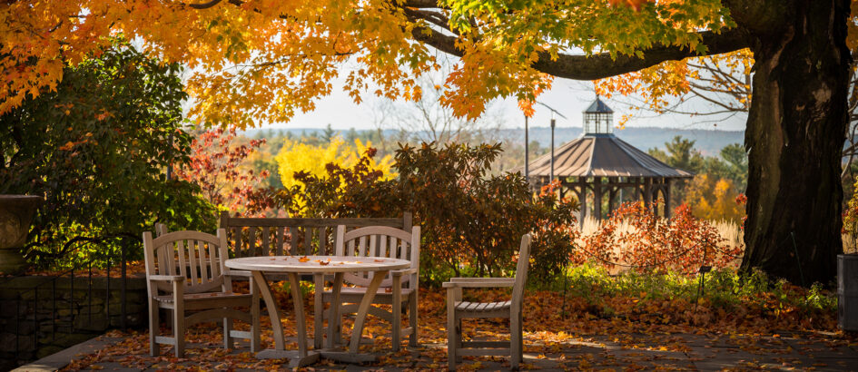 Discover Fall Wonder at New England Botanic Garden