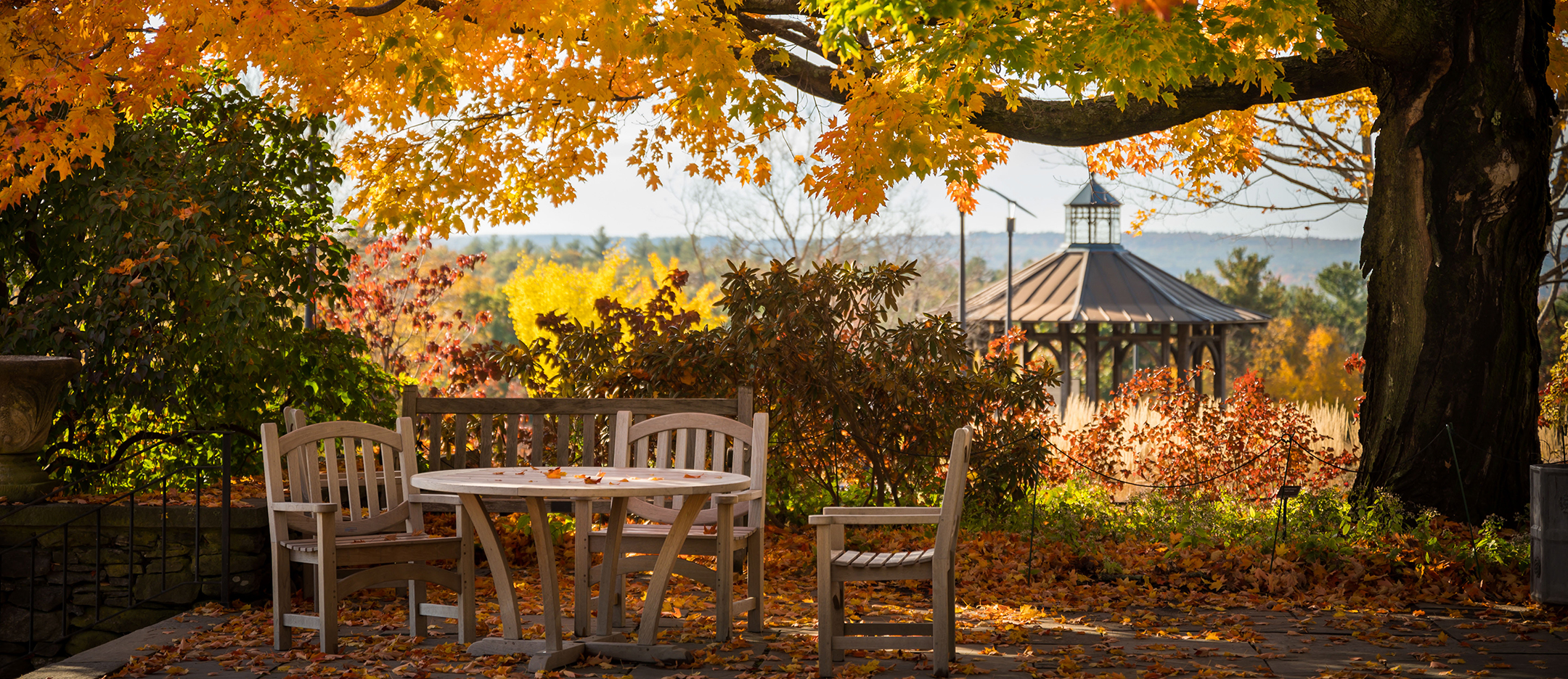 Discover Fall Wonder at New England Botanic Garden