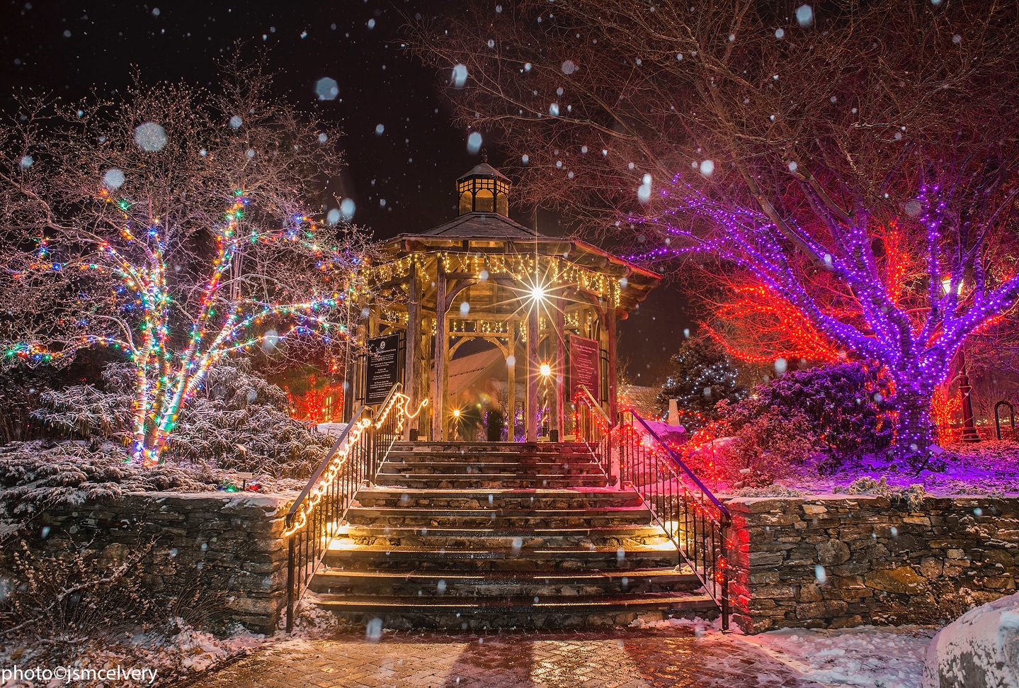 New England Botanic Garden NIght Lights (1)