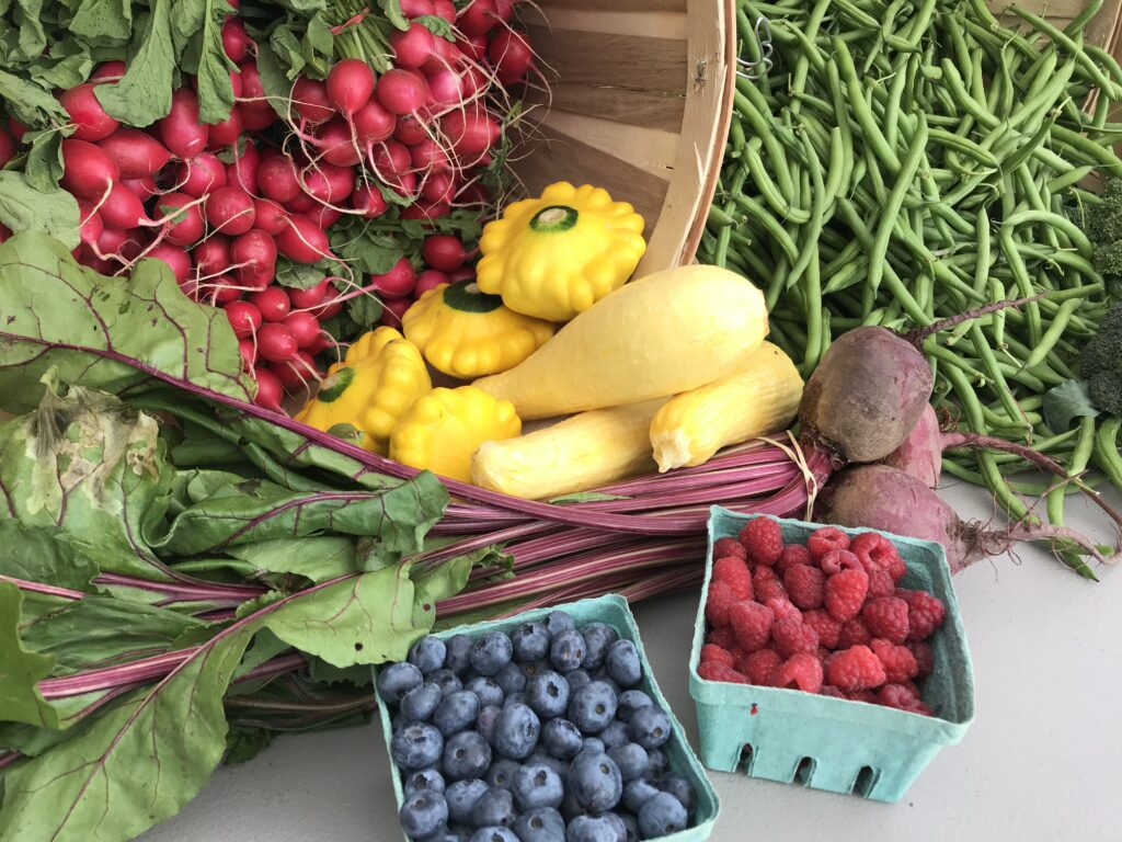 Farmer's Market Mix - Landscape