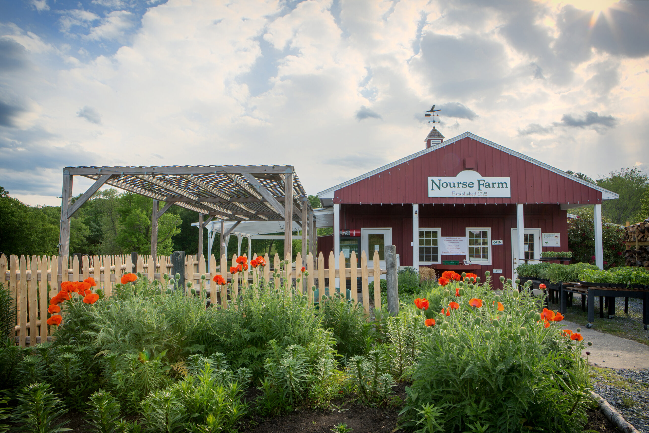 Sunset, Fresh Pie, and Farm Views