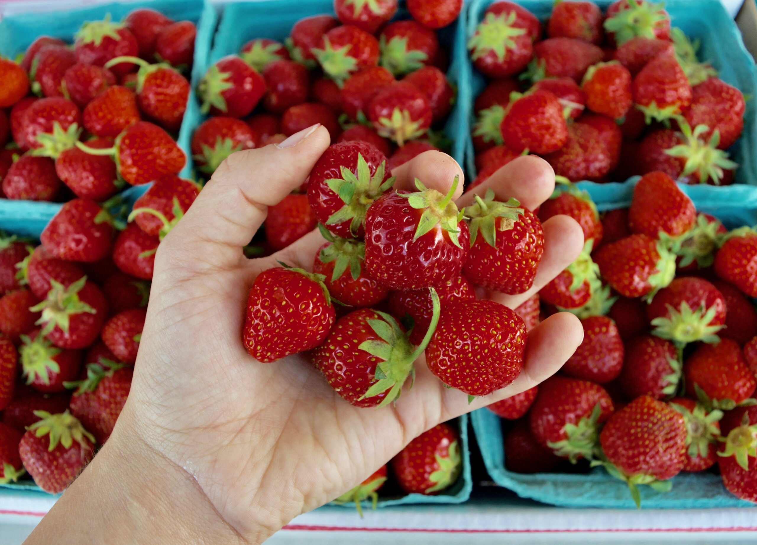 PYOStrawberries