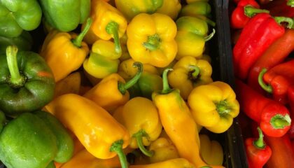BellPeppers