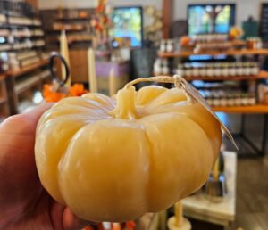 Boston Honey pumpkin Boston Honey pumpkin